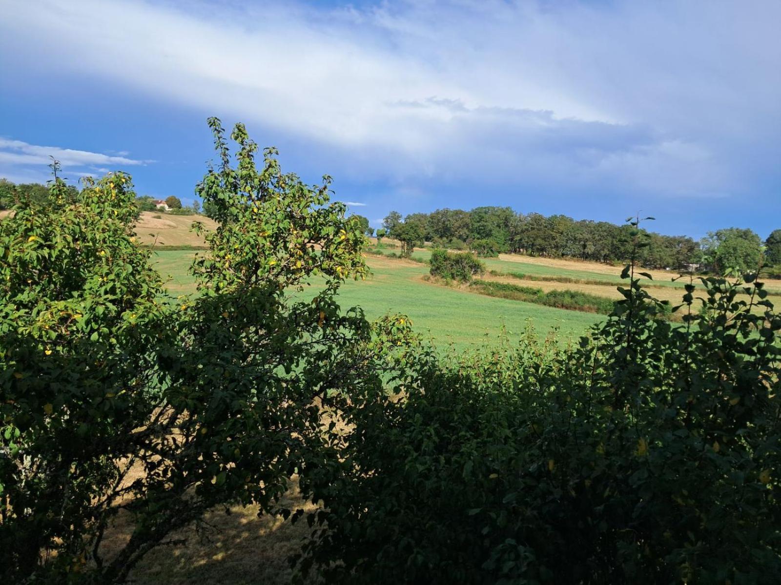 Vila Le Cele Orniac Exteriér fotografie